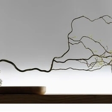 Ikebana